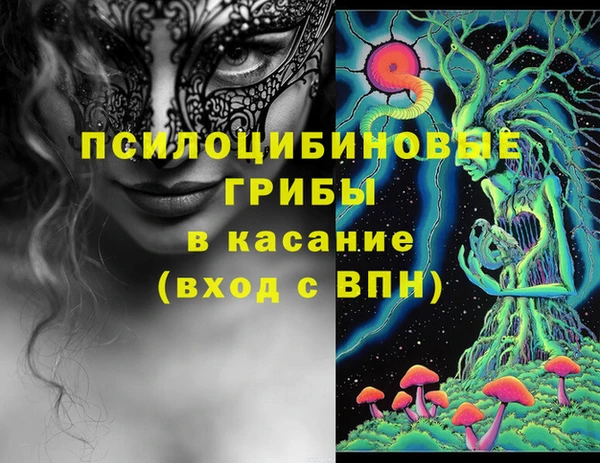 прущая мука Богданович