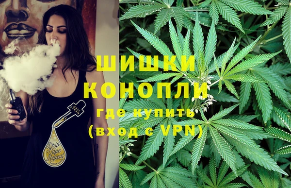 спиды Бородино